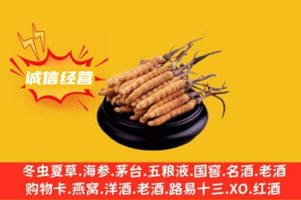安阳回收冬虫夏草